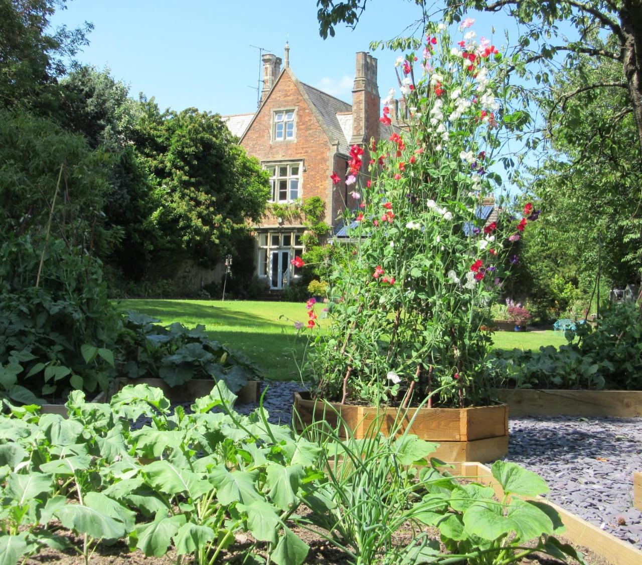 The Old Vicarage B & B Barnstaple Eksteriør billede
